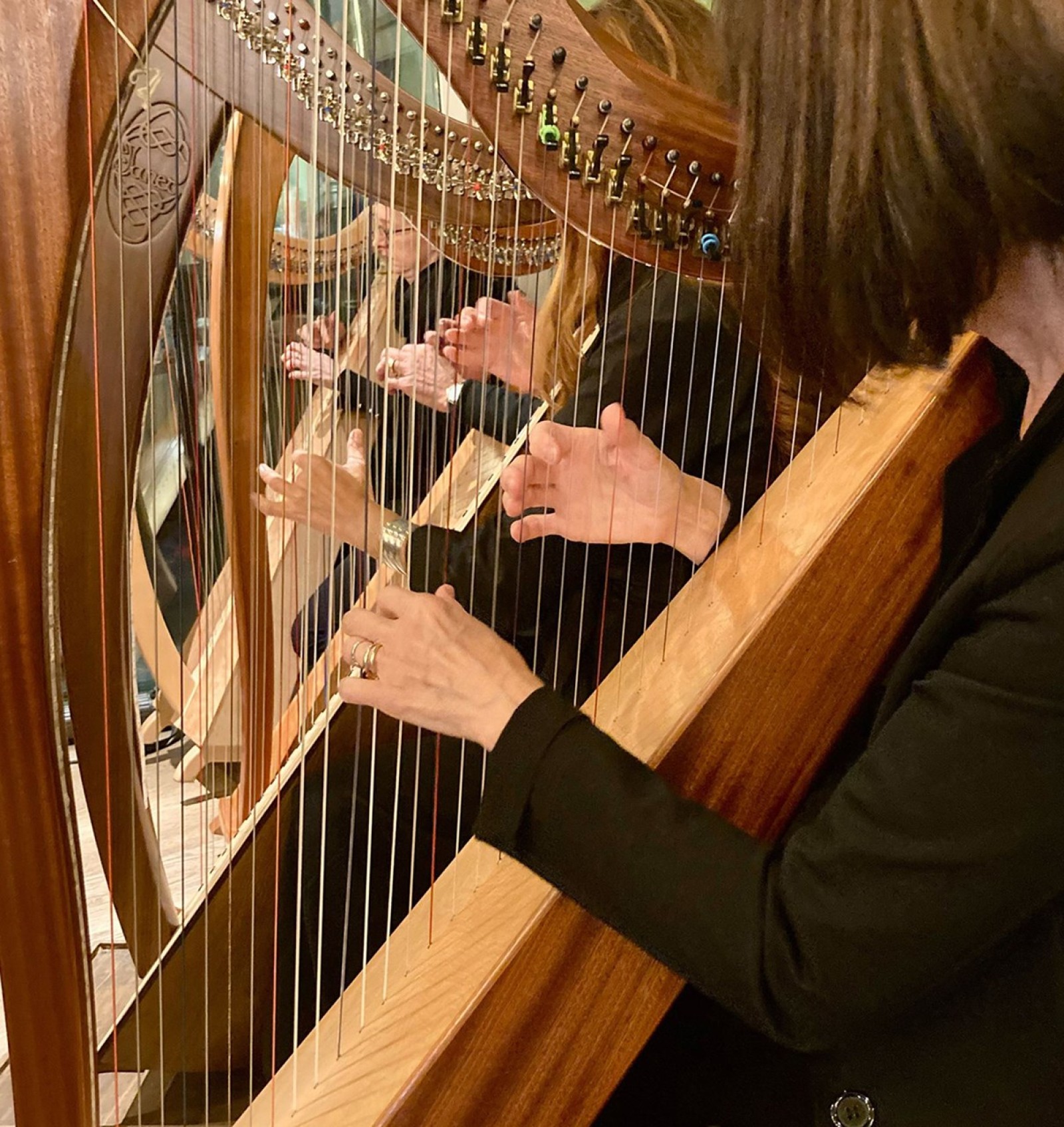 Celtic Harp Orchestra 